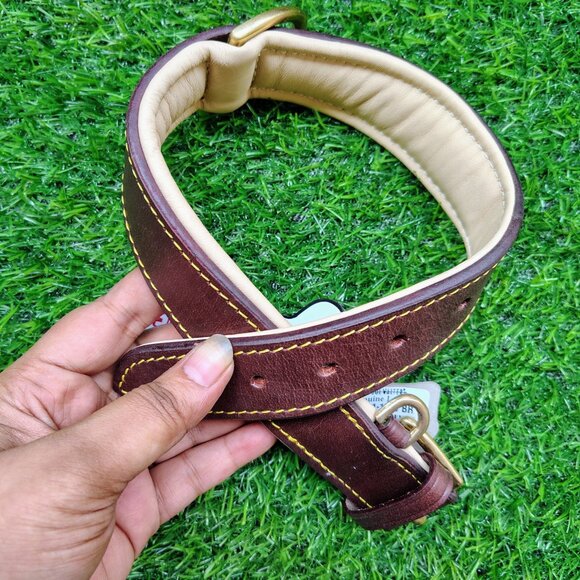 GENUINE LEATHER Dog Collar with Heavy Duty Adjustable Padded Collar - Picture 3 of 7